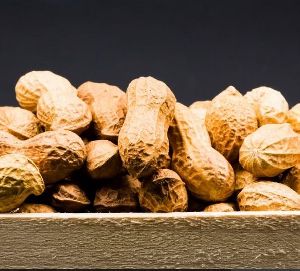 Raw Shelled Peanuts