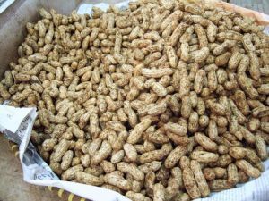 Raw Peanuts