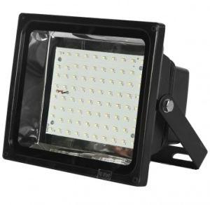 LED Flood Lights