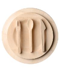 Disposable Dinnerware