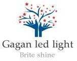 gagan led light