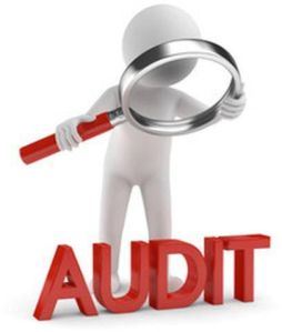 Statutory Audit Assurance Services