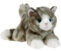 Cat Soft Toys