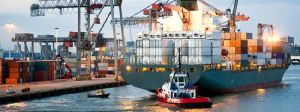 Sea Freight Forwarding Services