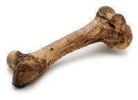 Dog Bone