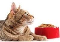 cat food