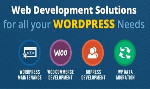 WORDPRESS site dovelopment services