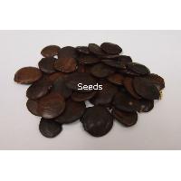 tree seeds