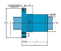Single Nut with Flange BS