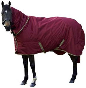 Turnout Rug (GI-RG-025)