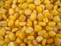 Frozen Yellow Corn