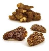 Dried Mushroom