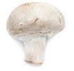 White Mushroom