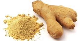 GINGER EXTRACT