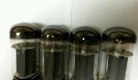 labeled tubes