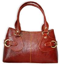 Ladies Hand Bag-5 DSC 0224