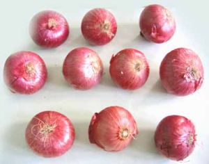 Red Onion