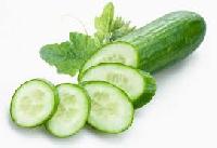 Cucumber Seed Oil