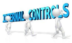 Internal Financial Control