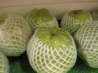 hybrid guava