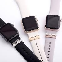 watch accessories