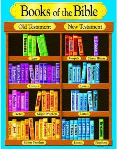 CHILDREN BIBLE STORY BOOKS