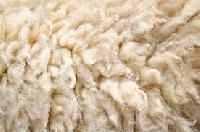 Sheep Wool