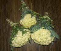 Cauliflower