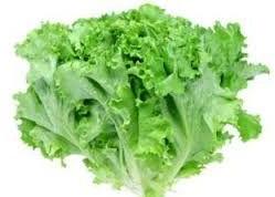 Lettuce