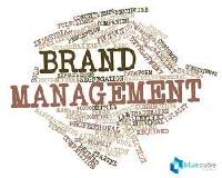Brand Management Services