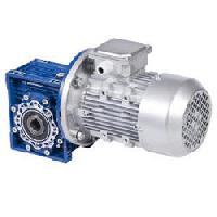 Worm Gear Motor