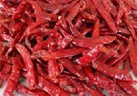 Indian Red Chilli