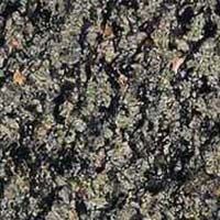 Nageena Green Granite