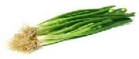 Green Onion