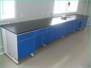 Laboratory Wall Bench