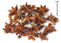 Star Anise Seeds