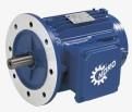 Explosion Proof Motor