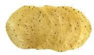 Cumin Papad