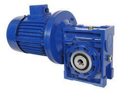 Worm Gear Motor