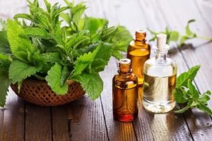 Peppermint Oil