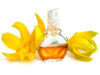 Ylang Ylang Oil