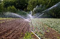 Micro Irrigation Systems