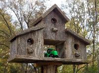 bird houses