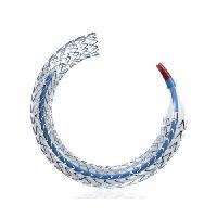 Promus Element Monorail Stent