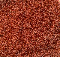 Red Millet