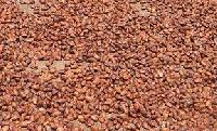 Cocoa Beans