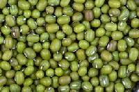 Green Mung Bean