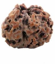 Rudraksha Stone