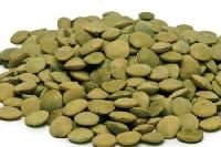 Green Lentil