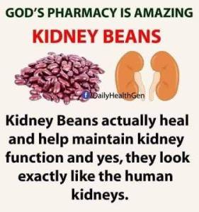 Kidney beens